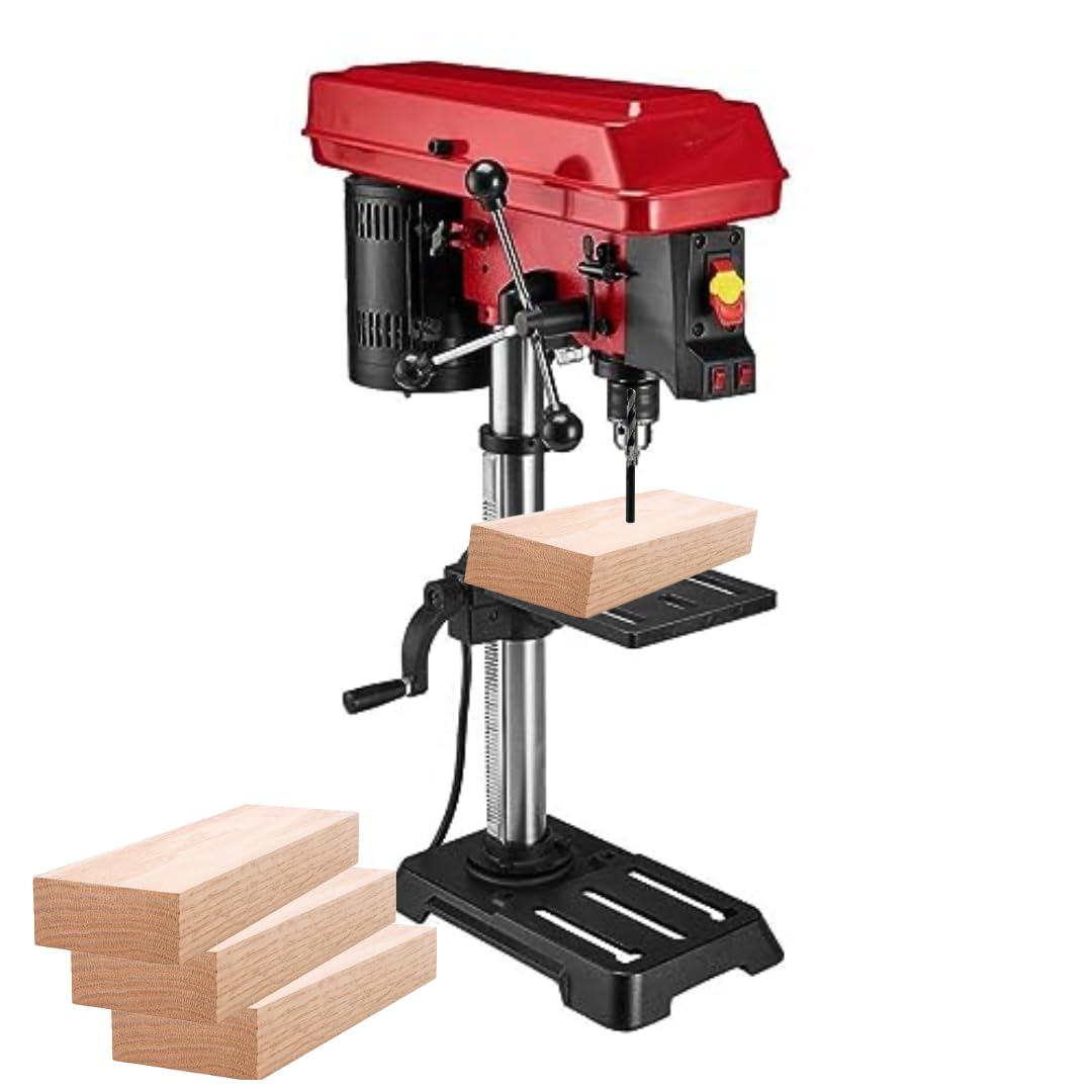 10-inch Variable Speed Bench Drill Press with Light N422