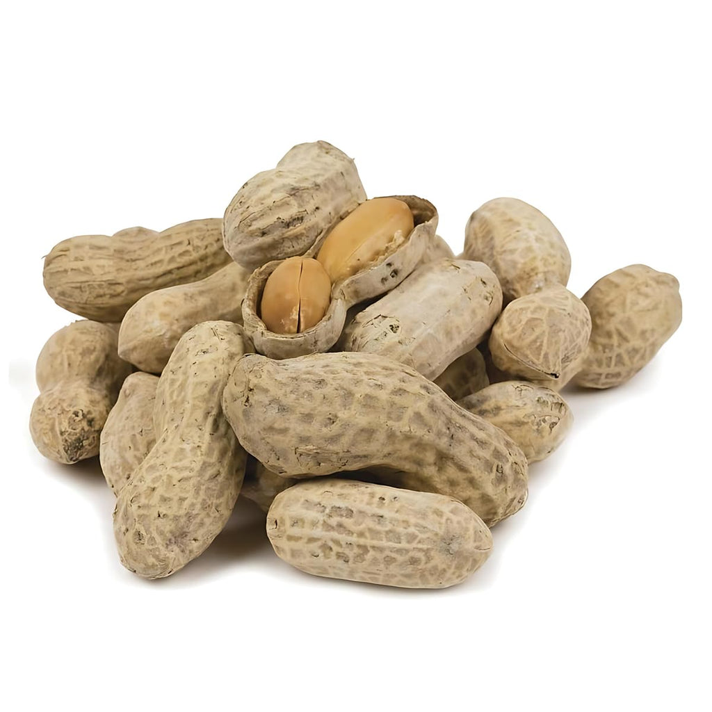 In-Shell Roasted and Salted Peanuts 2 Pounds G171649
