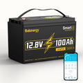 12V 100Ah LiFePO4 Lithium Battery Group 31 with 100A BMS G969