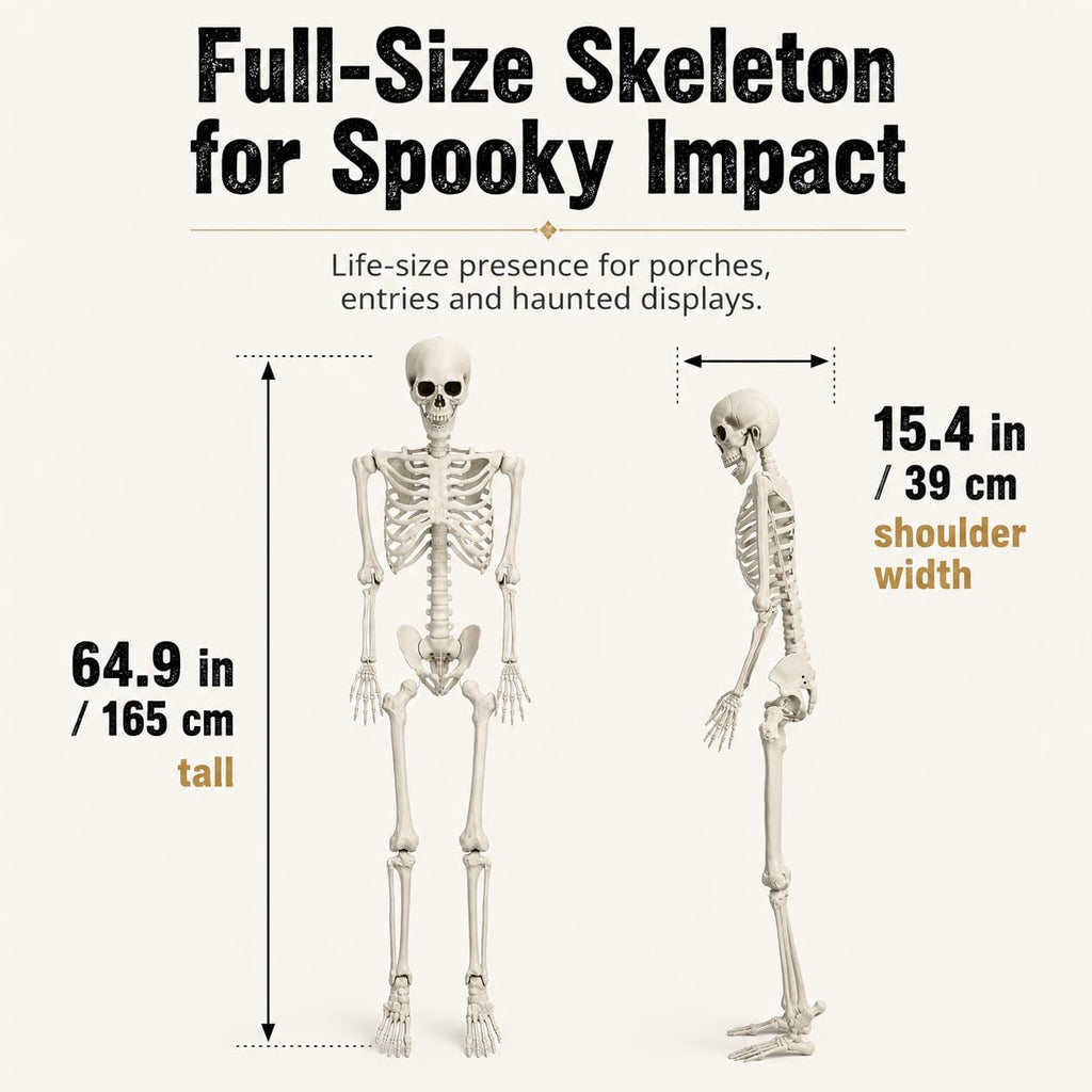 5.4 FT Poseable Skeleton F2641