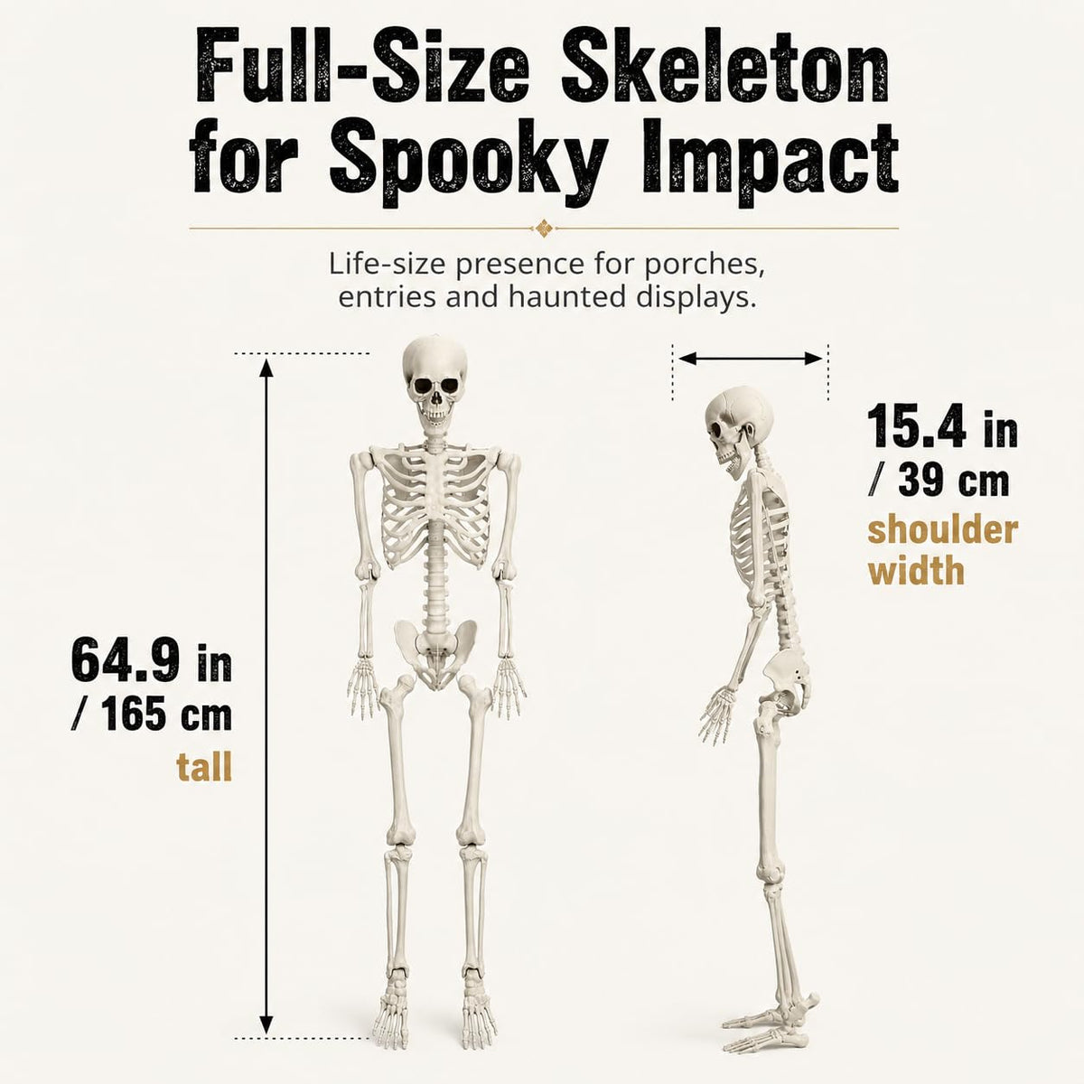 5.4 FT Poseable Skeleton F2641