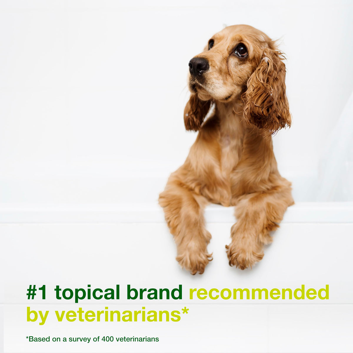 Dog Seboregulating Shampoo 16.9 fl oz K38137