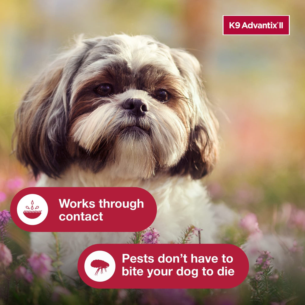 Flea, Tick & Mosquito Treatment & Prevention for Dogs 4-10 lbs M570