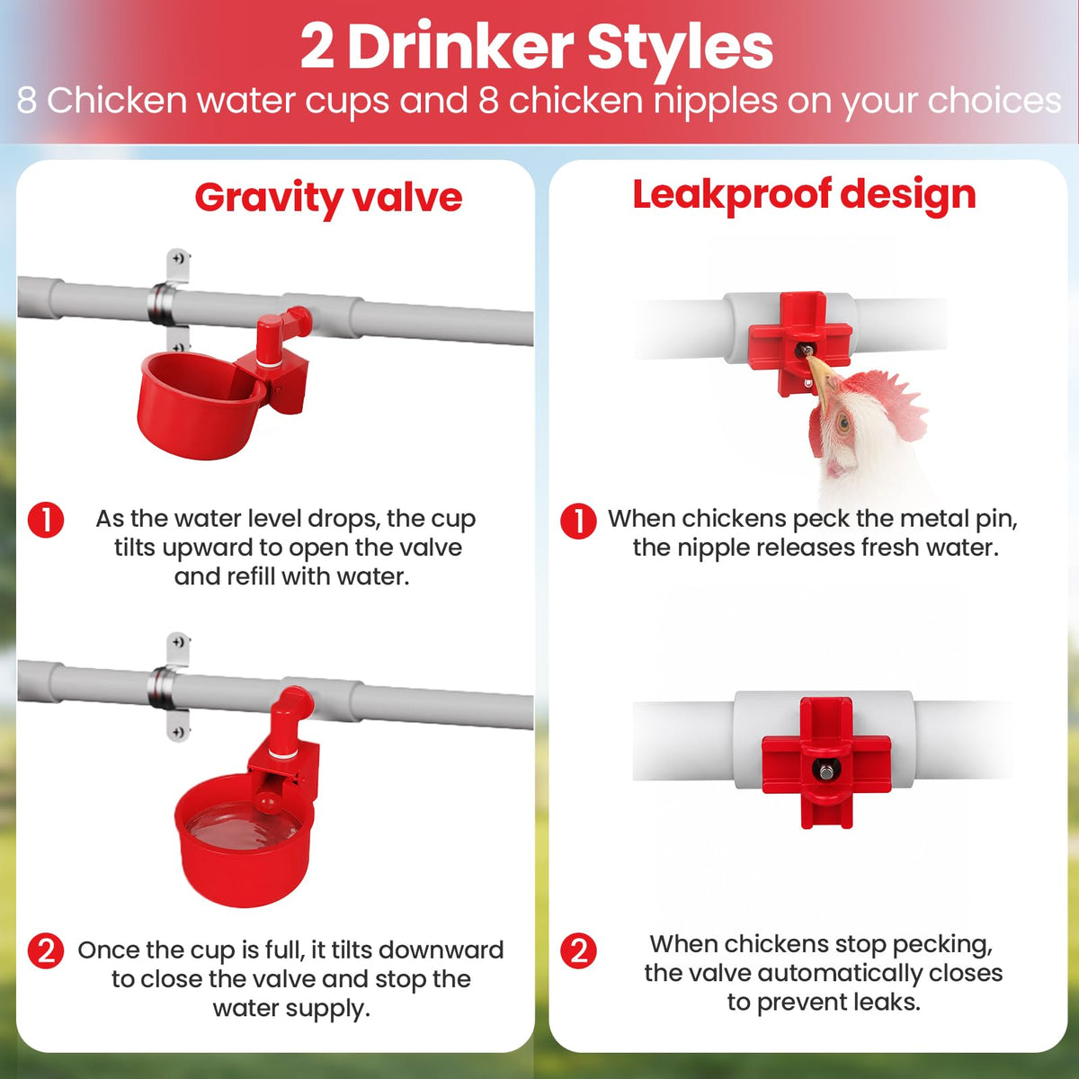 Automatic Chicken Waterer System with 8 Drinking Cups A83414