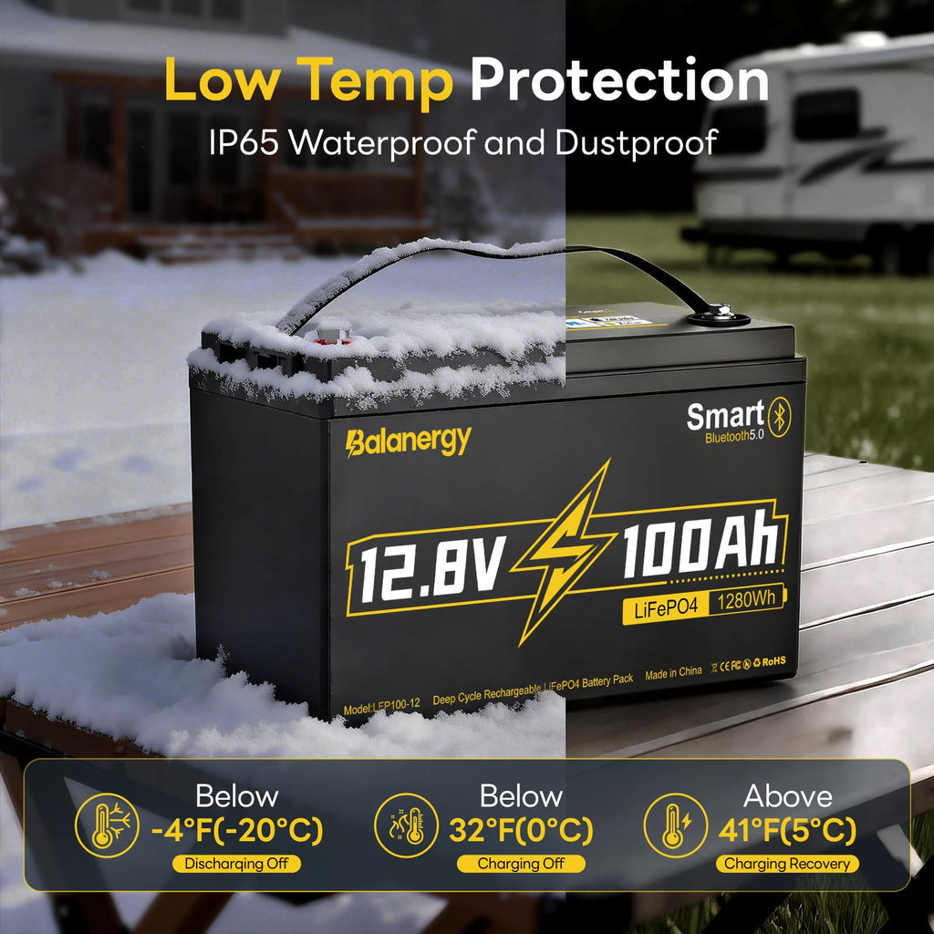 12V 100Ah LiFePO4 Lithium Battery Group 31 with 100A BMS G969
