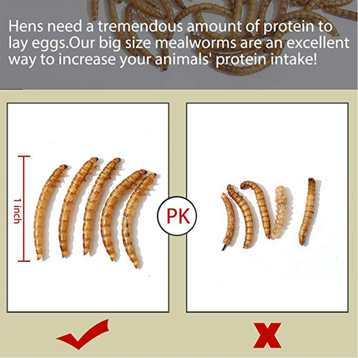 20 LBS Non-GMO Dried Mealworms A4650