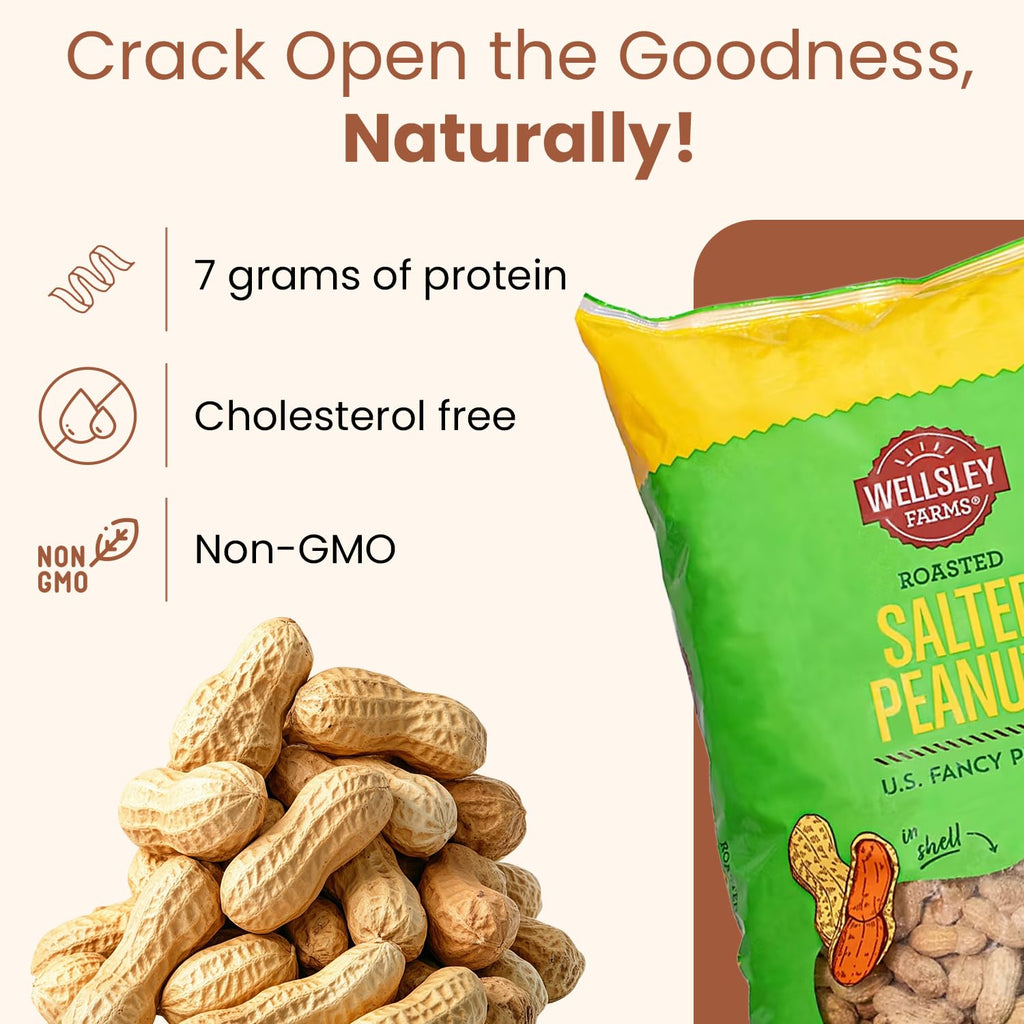 Salted Roasted Peanuts In Shell 5 lb Bag W828