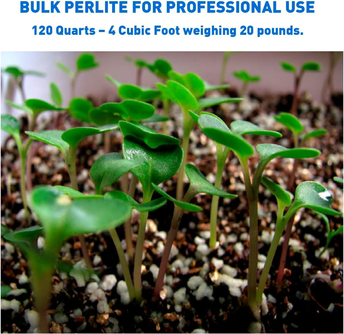 Perlite 4 Cubic Feet 1 Bag Y419302