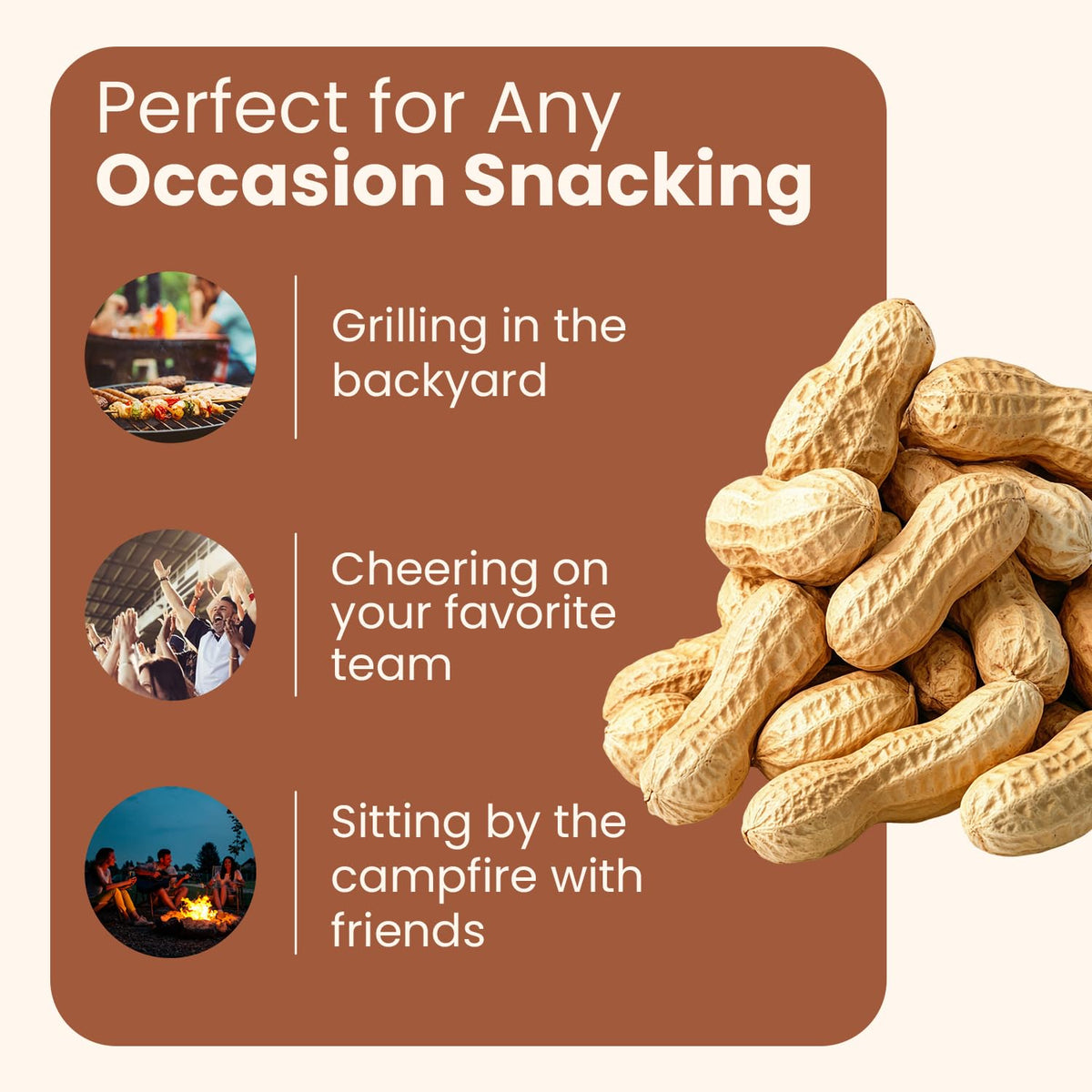 Salted Roasted Peanuts In Shell 5 lb Bag W828