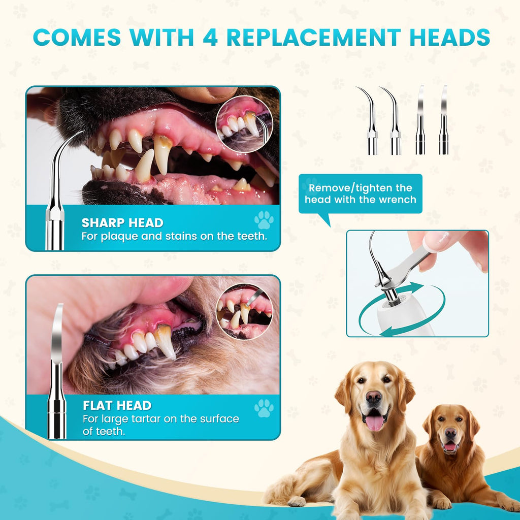 Dog Ultrasonic Tooth Cleaner with LED Light Q830