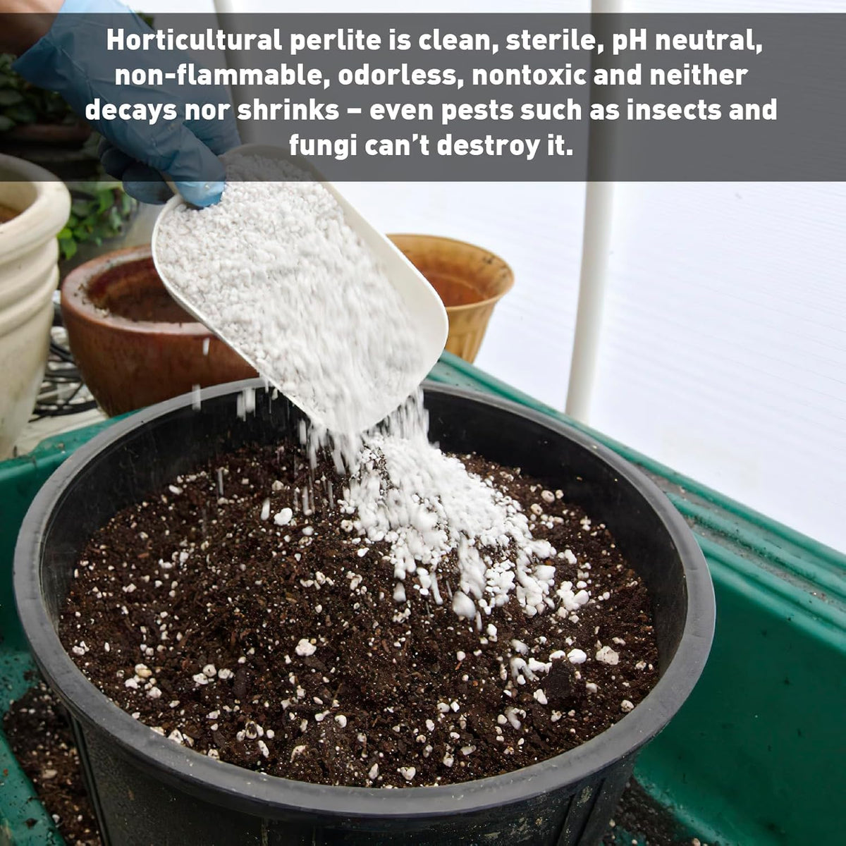 Perlite 4 Cubic Feet 1 Bag Y419302