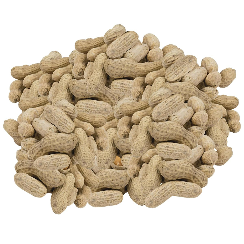 In-Shell Roasted and Salted Peanuts 2 Pounds G171649