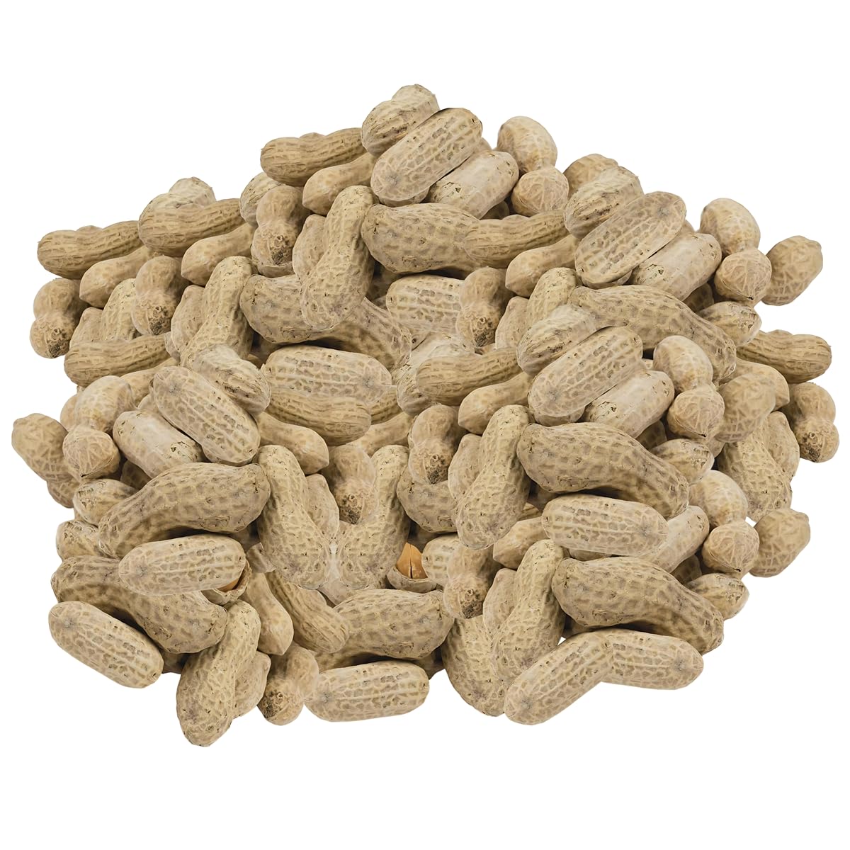 In-Shell Roasted and Salted Peanuts 2 Pounds G171649