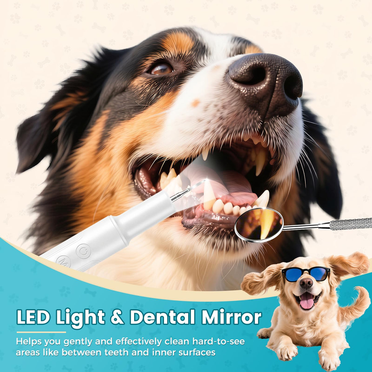 Dog Ultrasonic Tooth Cleaner with LED Light Q830