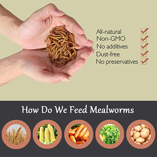 20 LBS Non-GMO Dried Mealworms A4650