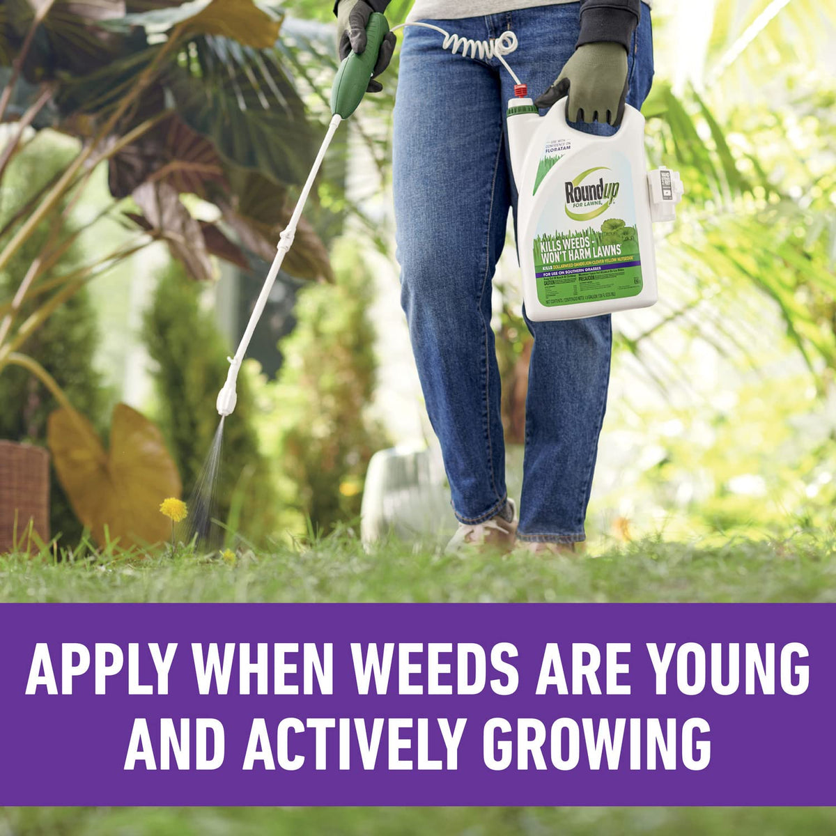 Roundup for Lawns4 Ready-to-Use 1 gal. X4924