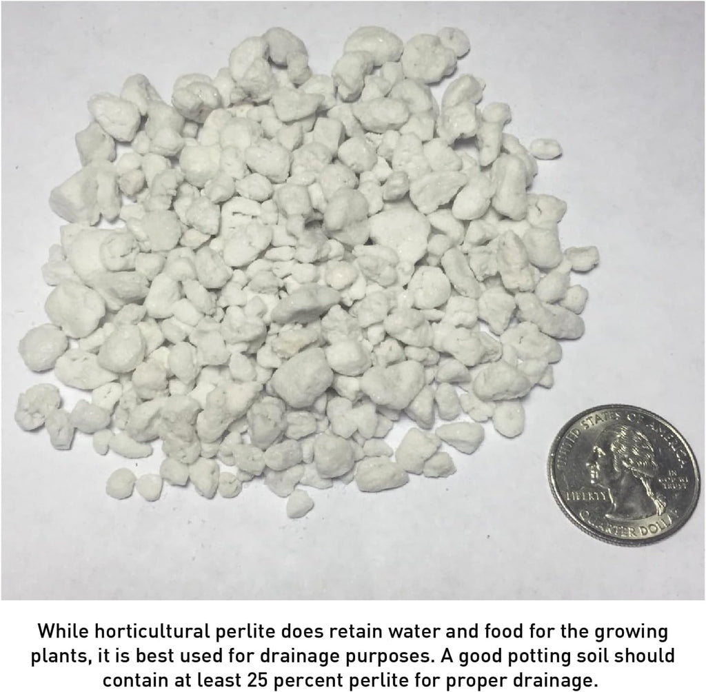 Perlite 4 Cubic Feet 1 Bag Y419302