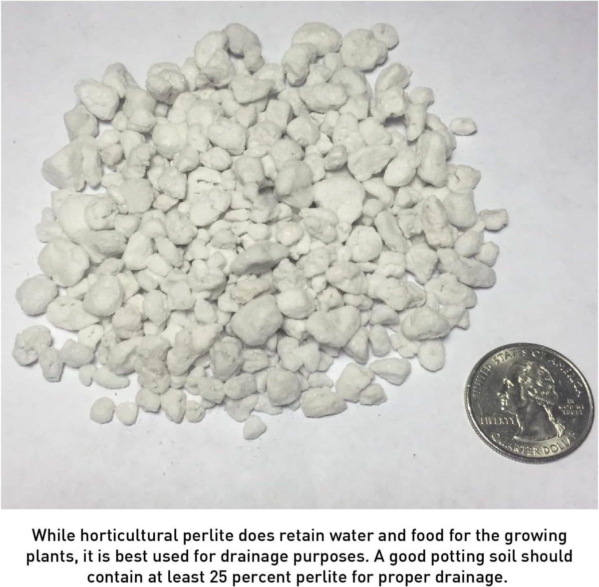 Perlite 4 Cubic Feet 1 Bag Y419302