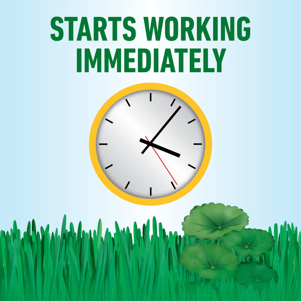 Roundup for Lawns4 Ready-to-Use 1 gal. X4924