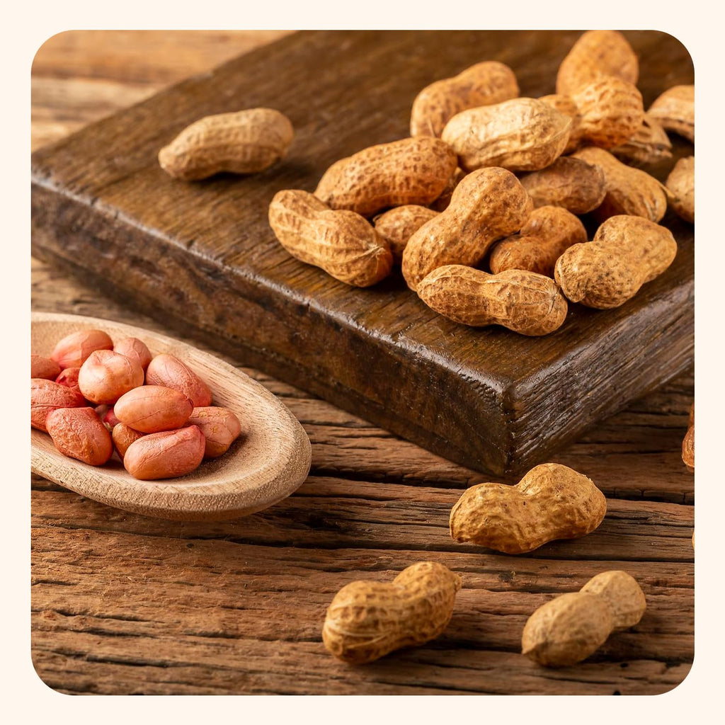 Salted Roasted Peanuts In Shell 5 lb Bag W828