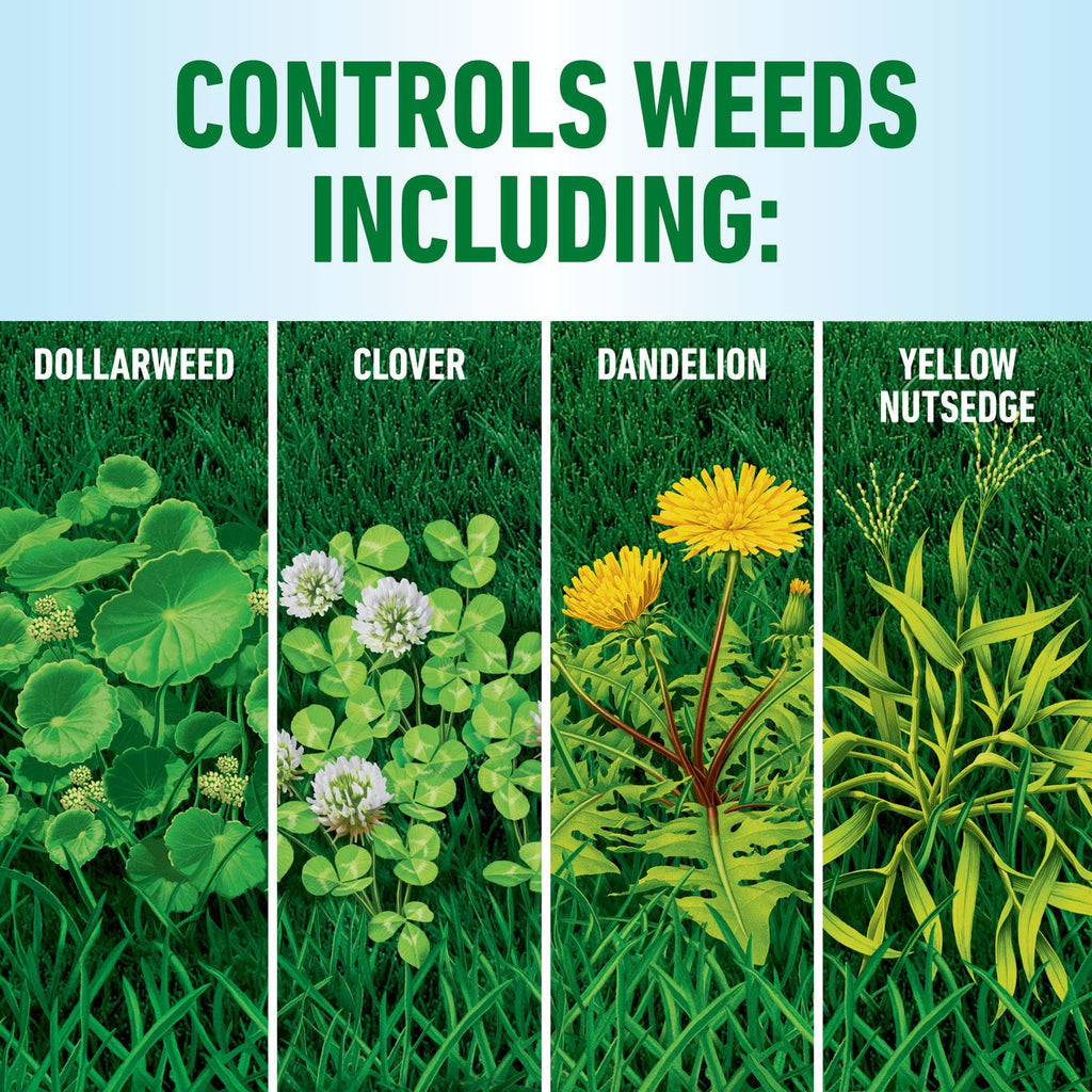 Roundup for Lawns4 Ready-to-Use 1 gal. X4924