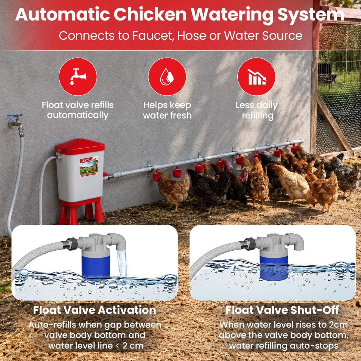 Automatic Chicken Waterer System with 8 Drinking Cups A83414