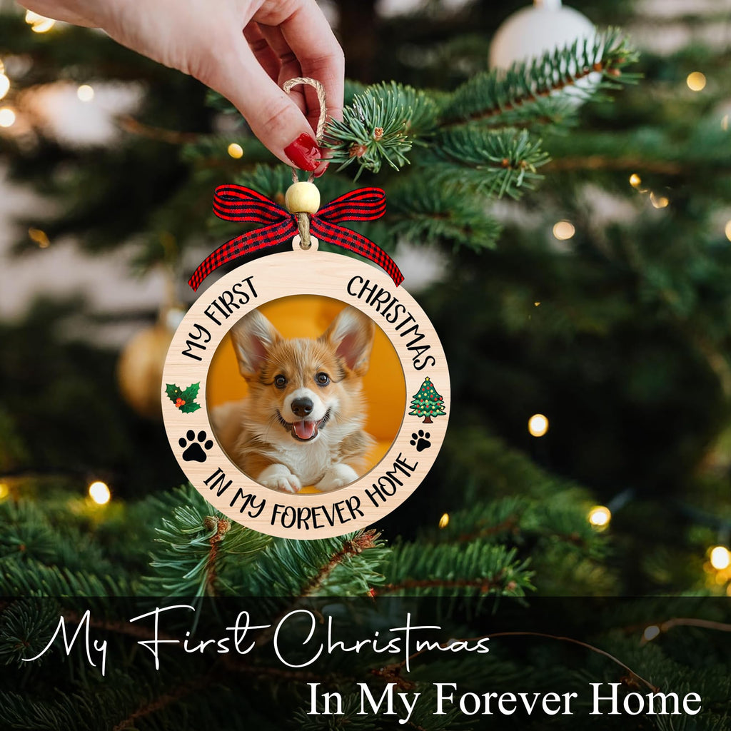 Dog Ornaments T621904