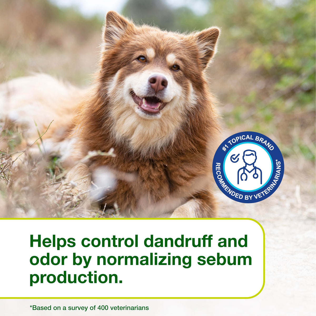 Dog Seboregulating Shampoo 16.9 fl oz K38137