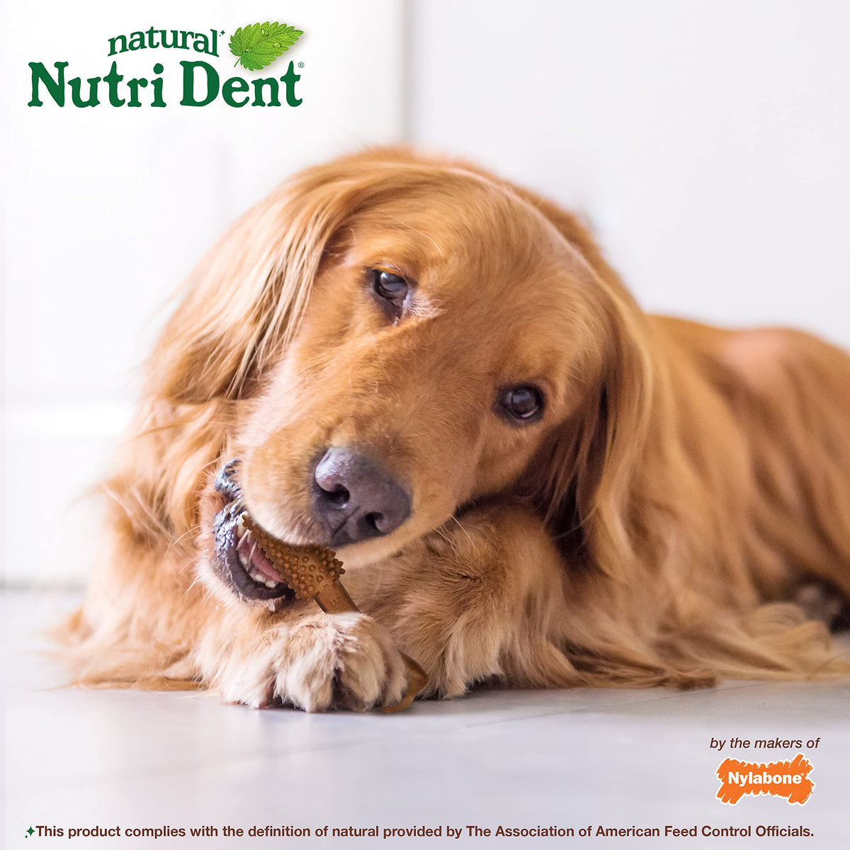 Large Filet Mignon Flavor Dog Dental Chews 20 Count M9966