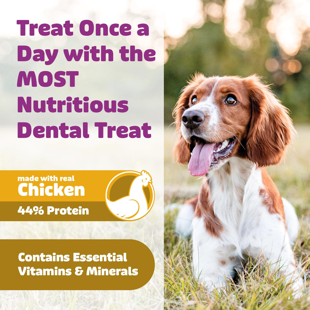 Chicken Dental Dog Treats 36oz 27 Count C974