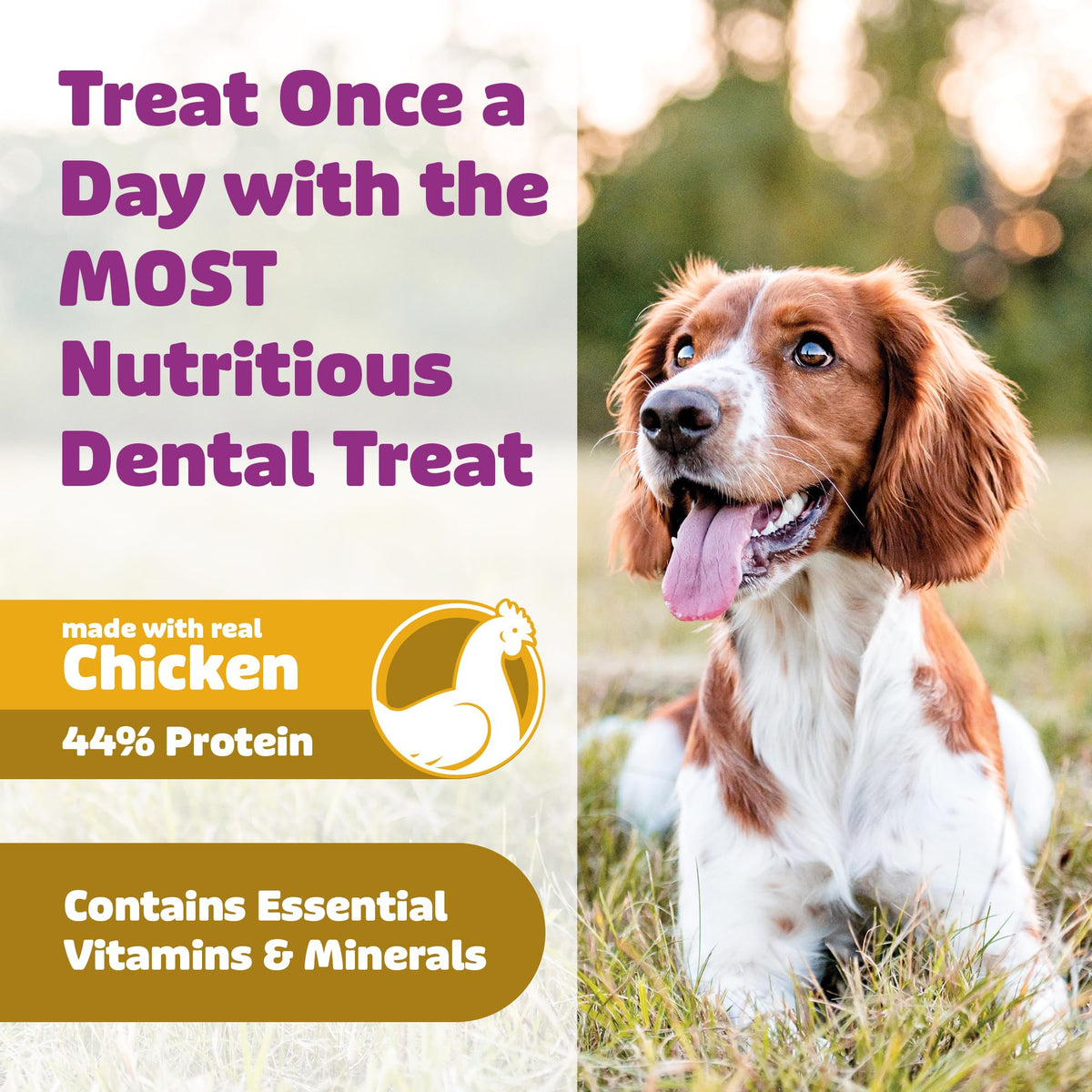 Chicken Dental Dog Treats 36oz 27 Count C974