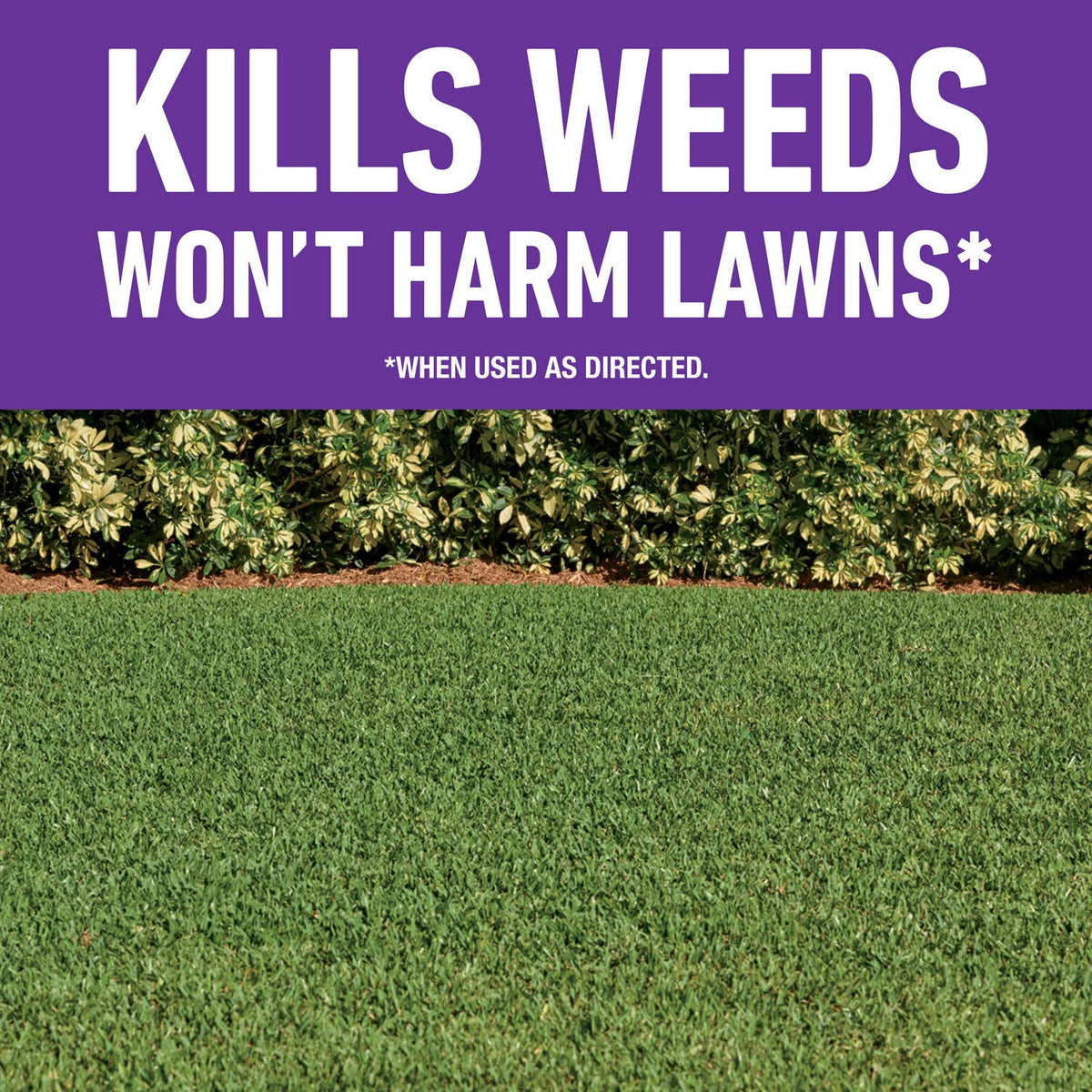 Roundup for Lawns4 Ready-to-Use 1 gal. X4924