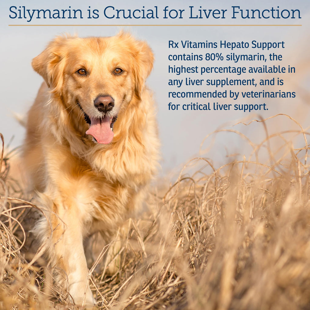 Liver Supplement 180ct S1451
