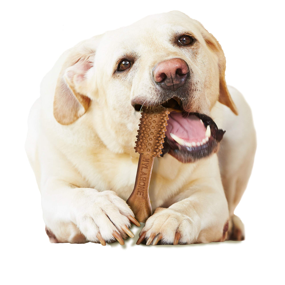 Large Filet Mignon Flavor Dog Dental Chews 20 Count M9966