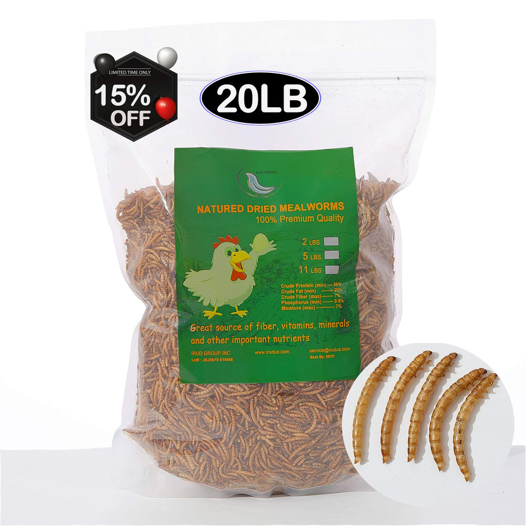 20 LBS Non-GMO Dried Mealworms A4650
