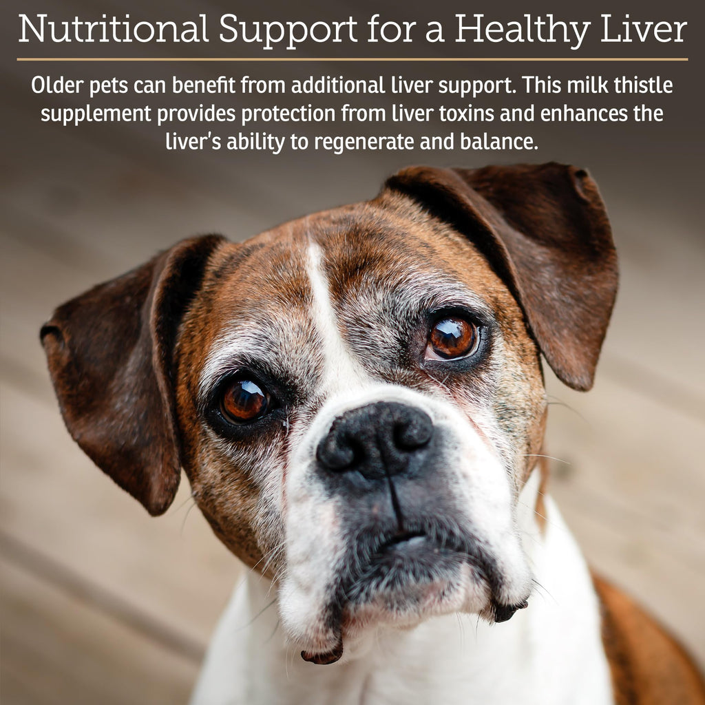 Liver Supplement 180ct S1451