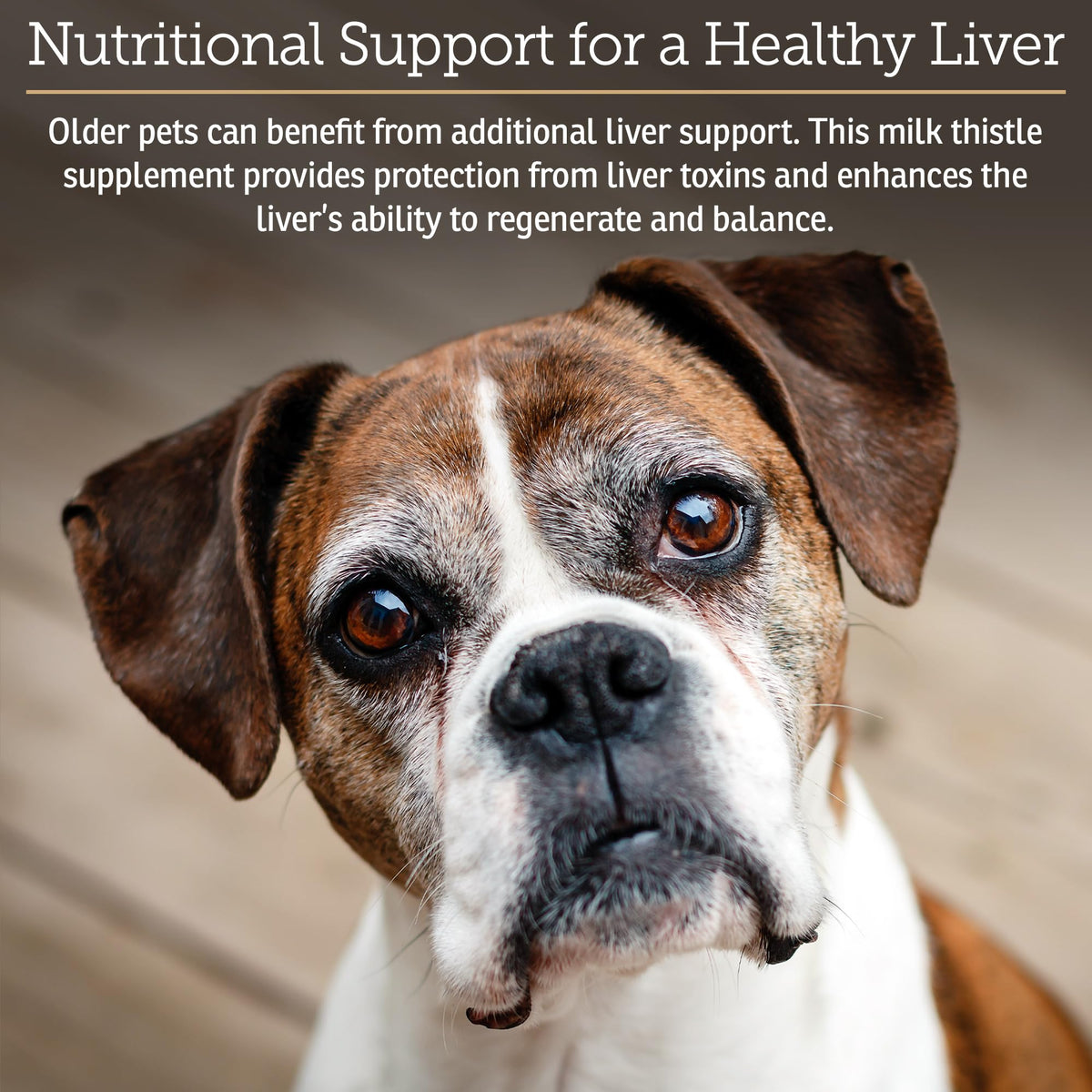 Liver Supplement 180ct S1451