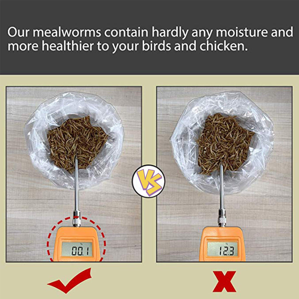 20 LBS Non-GMO Dried Mealworms A4650
