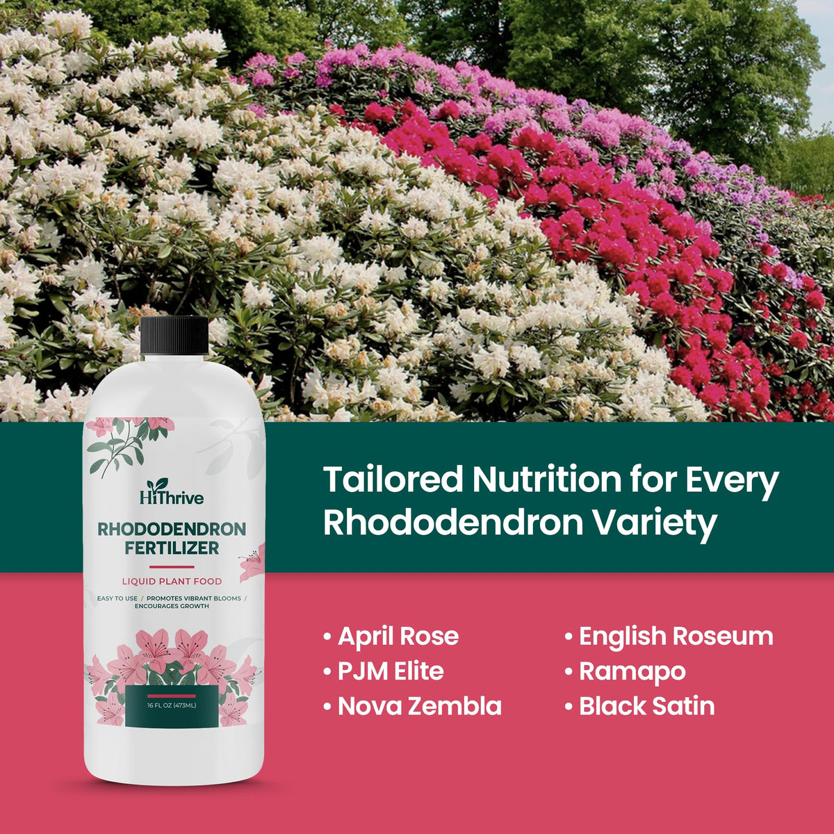 16oz Rhododendron Plant Food W637931