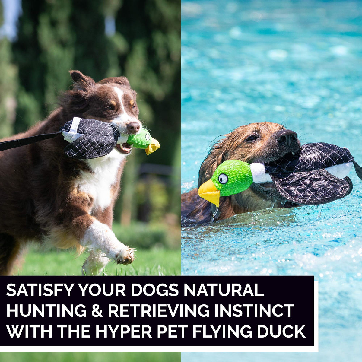 Large Duck Slingshot Fetching Dog Toy M11453