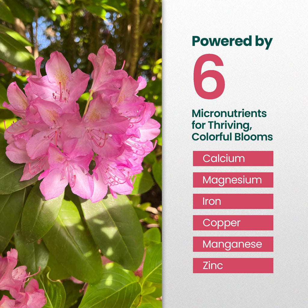 16oz Rhododendron Plant Food W637931