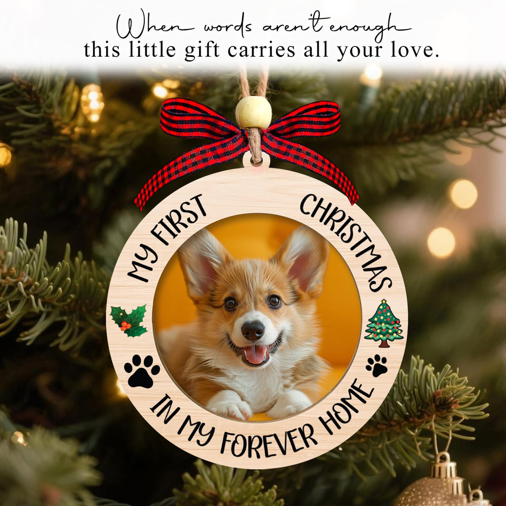 Dog Ornaments T621904