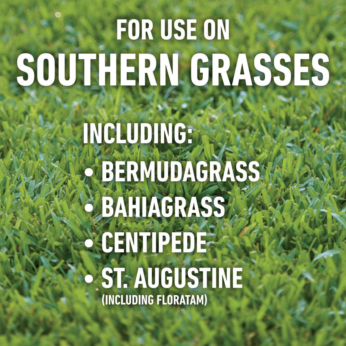 Roundup for Lawns4 Ready-to-Use 1 gal. X4924