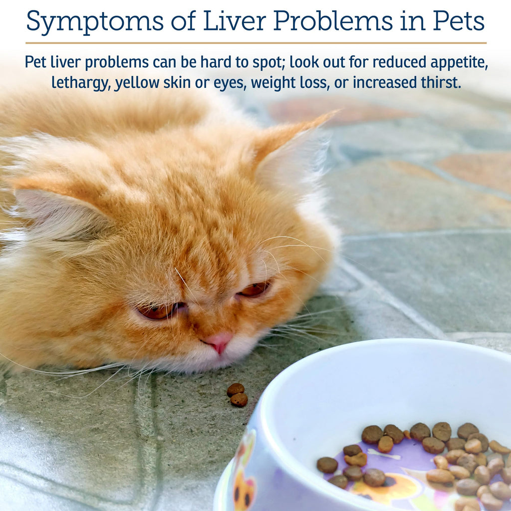 Liver Supplement 180ct S1451