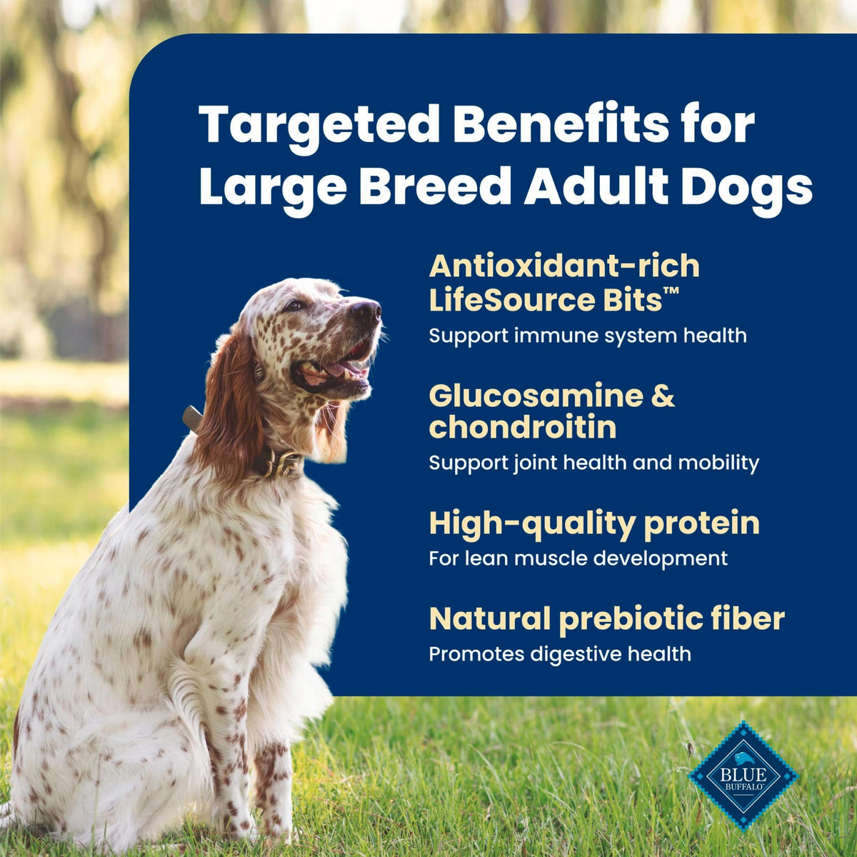 Chicken Large Adult Dog Food 40 lb N85154