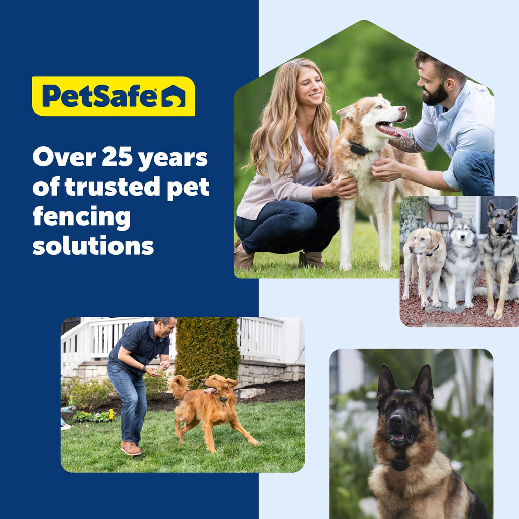 In-Ground Fence for Dogs & Cats Y3098