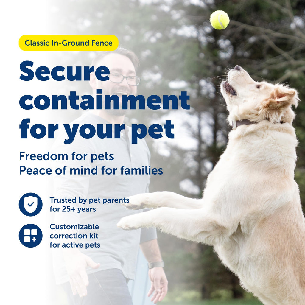 In-Ground Fence for Dogs & Cats Y3098