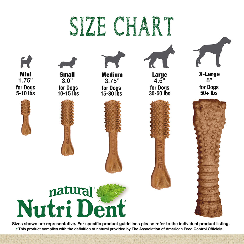 Large Filet Mignon Flavor Dog Dental Chews 20 Count M9966