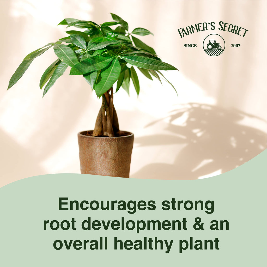 Money Tree Liquid Plant Food Fertilizer 8oz Concentrated A84416