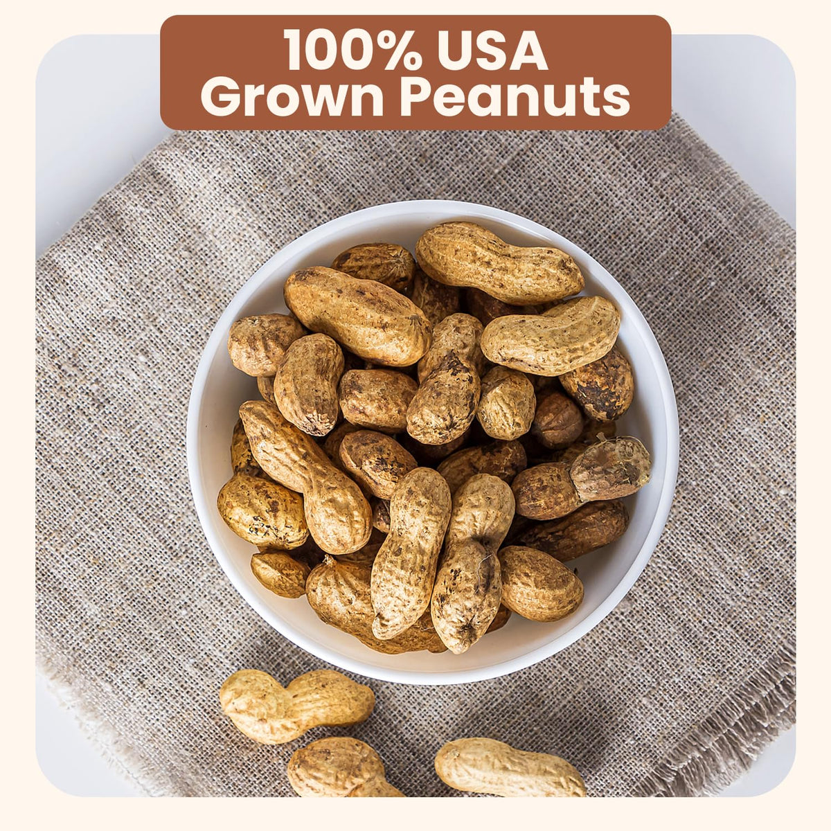 Salted Roasted Peanuts In Shell 5 lb Bag W828